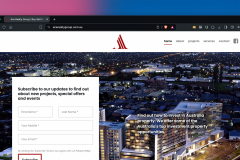 Ace Realty Group Website